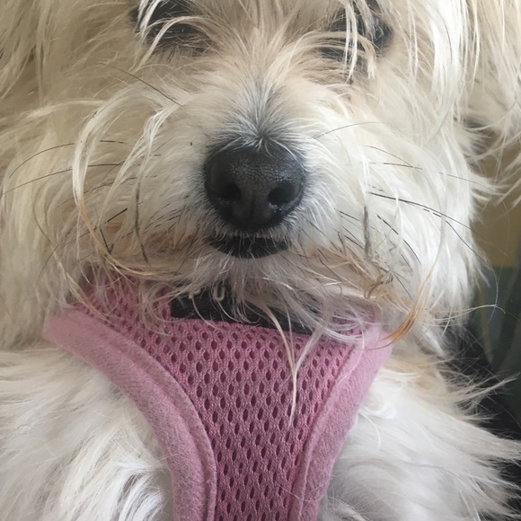 Meet your Posher, Andrea - Picture 1 of 1